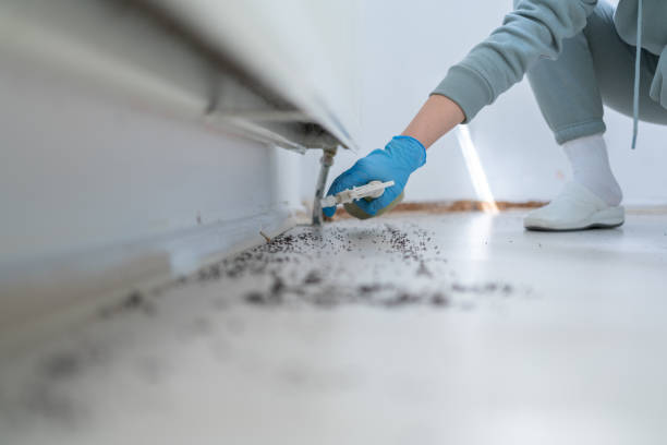 Best Ant Control Services  in Weston, NJ